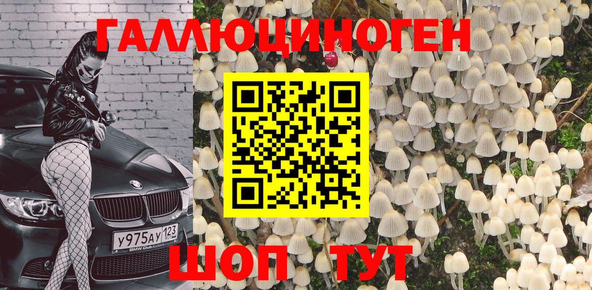 Галлюциногенные грибы Psilocybine cubensis Нягань